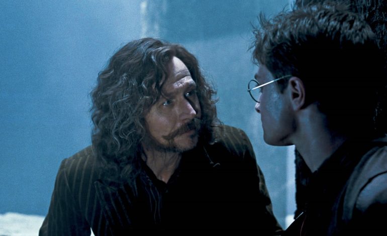  Gary Oldman mógłby wystąpić w serialu Harry Potter, ale w innej roli