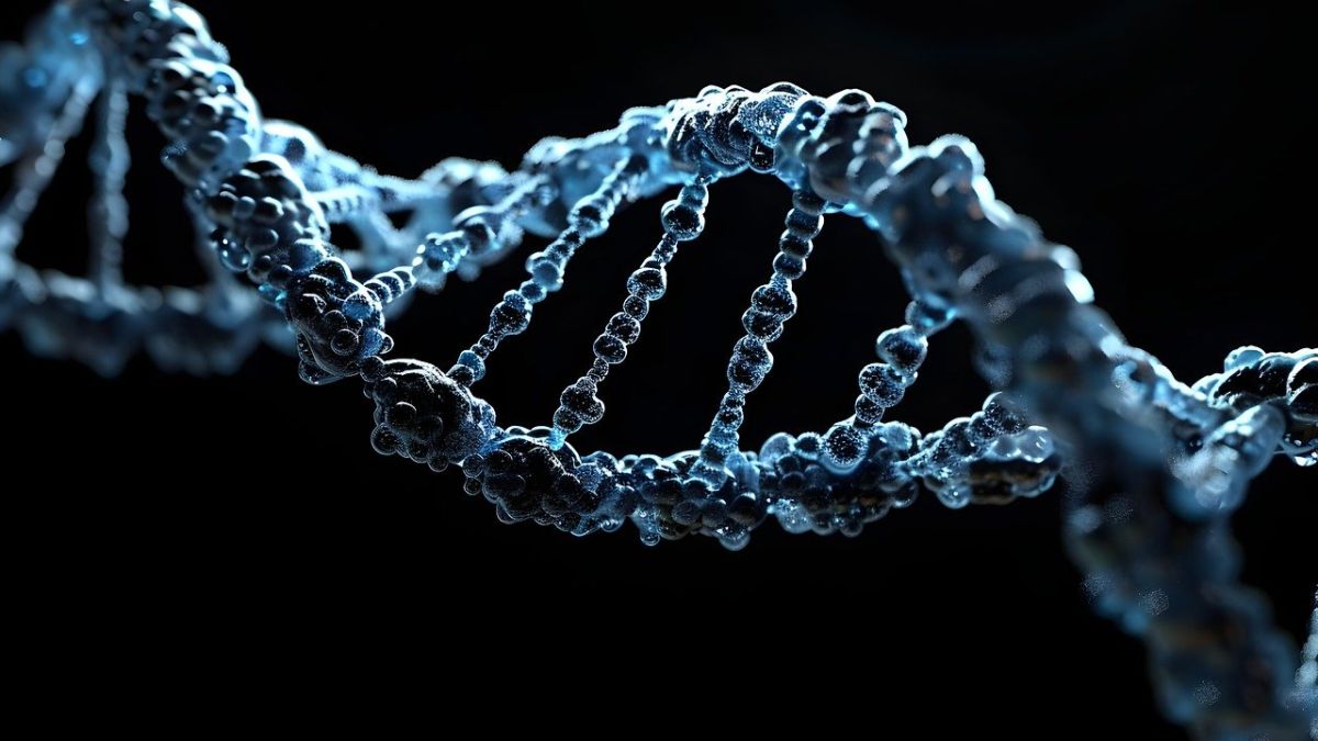 DNA