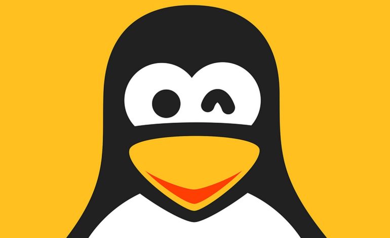  Torvalds zaniepokojony trendem w rozwoju Linux 6.15: „Za dużo zmian na finiszu”